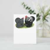 コクイン：銀鉛筆で (スタンド正面)