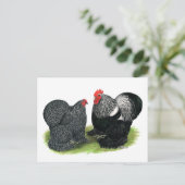 コクイン：銀鉛筆で ポストカード (スタンド正面)