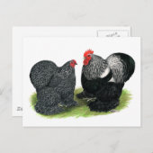 コクイン：銀鉛筆で ポストカード (正面/裏面)