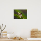 コクイ，エル ポスター (キッチン)