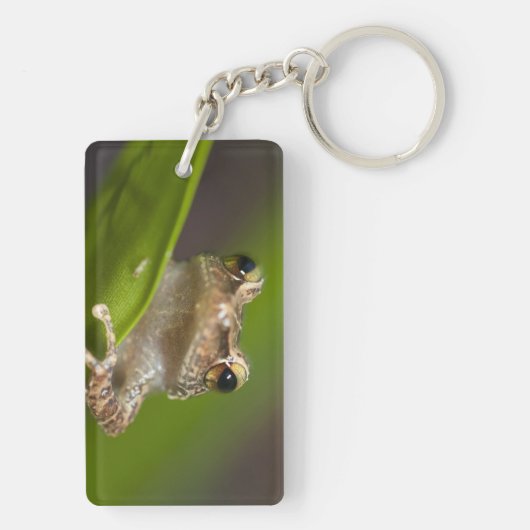 コクイ キーホルダー (裏面)