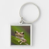 コクイ キーホルダー (正面)