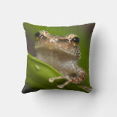 コクイ クッション (裏面)