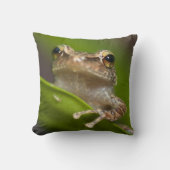 コクイ クッション (正面)