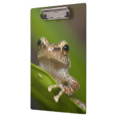 コクイ クリップボード (左)