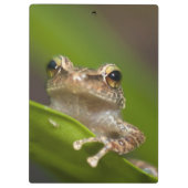 コクイ クリップボード (裏面)