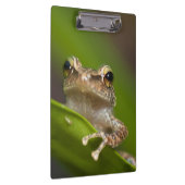 コクイ クリップボード (右)