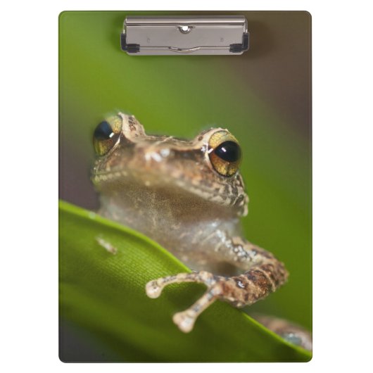 コクイ クリップボード (正面)