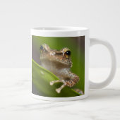 コクイ ジャンボコーヒーマグカップ (右)