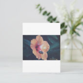 コクイ ポストカード (スタンド正面)