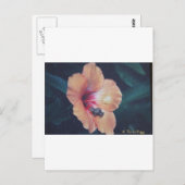 コクイ ポストカード (正面/裏面)