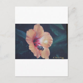 コクイ ポストカード