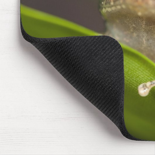 コクイ マウスパッド (コーナー)