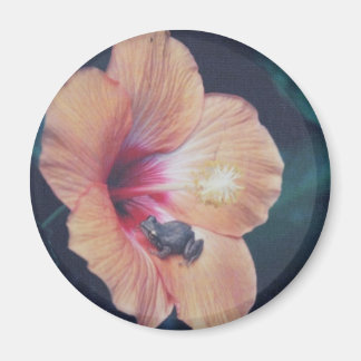 コクイ マグネット