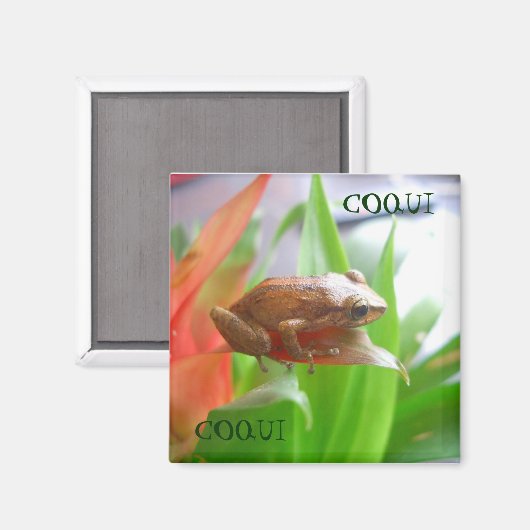 コクイ マグネット (正面/裏面)