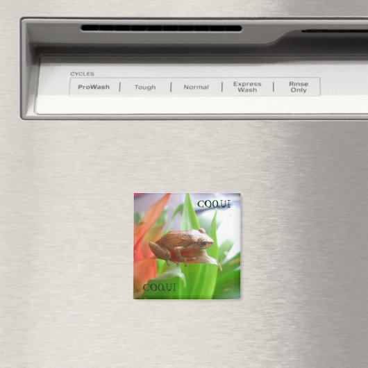 コクイ マグネット (インサイチュ (食洗機))