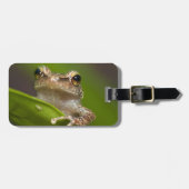 コクイ ラゲッジタグ (正面横)