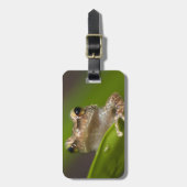 コクイ ラゲッジタグ (正面縦)