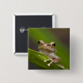 コクイ 缶バッジ (正面&裏面)