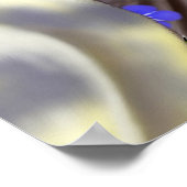 コクカラフルティエルズポスター ポスター (角)