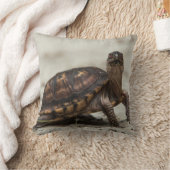 コクガメ クッション (ブランケット)