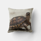 コクガメ クッション (裏面)