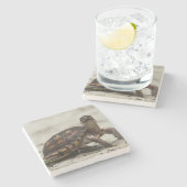 コクガメ ストーンコースター (横)