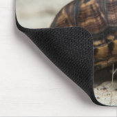 コクガメ マウスパッド (コーナー)