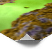 コクサキウイルスの概念図2 ポスター (角)