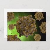 コクサッキーウイルス2の概念的なイメージ ポストカード (正面/裏面)