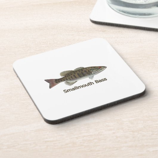 コクチバス コースター (左側)