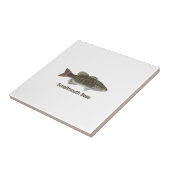 コクチバス タイル (側面)