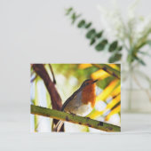 コクドリ ポストカード (スタンド正面)