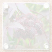 コクニクイムシ ガラスコースター (裏面)