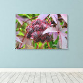 コクニクイムシ キャンバスプリント (インサイチュ (ウッドフロア))