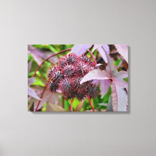 コクニクイムシ キャンバスプリント (正面)