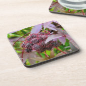 コクニクイムシ コースター (左側)