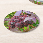 コクニクイムシ ラウンドペーパーコースター (アングル)