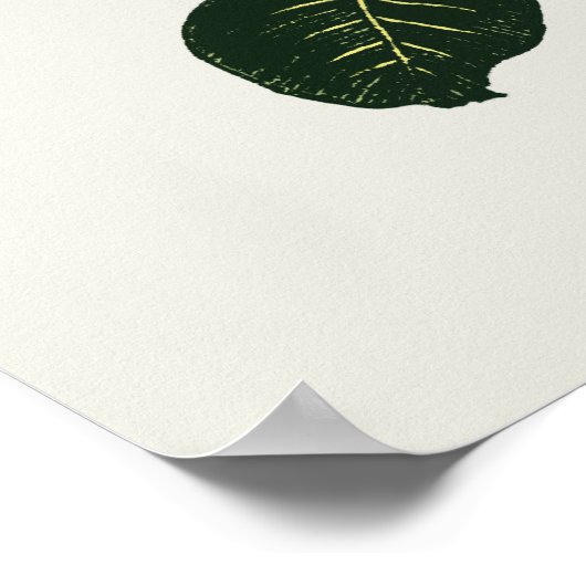 コクバエ ポスター (角)