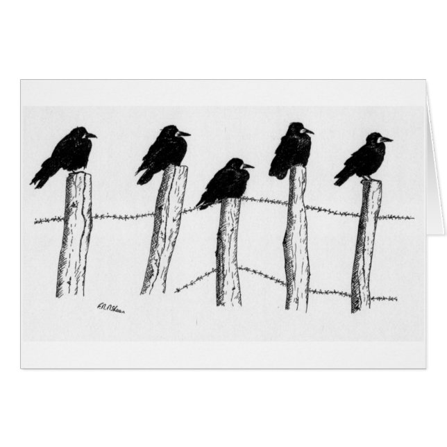 コクマルガラス (正面横)