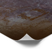 コクモドキ ポスター (角)