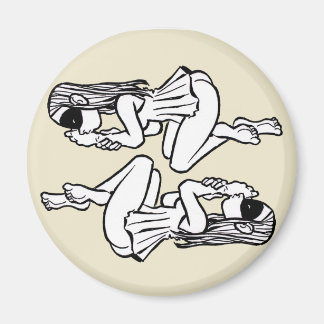 コクレア&ユースタチア冷凍機磁石 マグネット