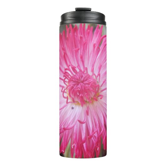 コグニエ タンブラー (正面)