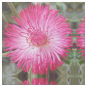 コグニエ ファブリック (クローズアップ)