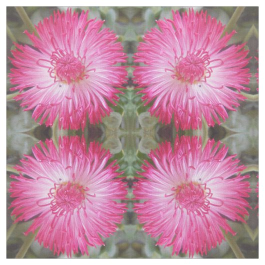 コグニエ ファブリック (見本)