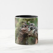 コケおよび地衣 マグカップ (中央)