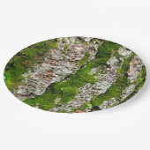 コケが付いている松の木の吠え声 ペーパープレート (アングル)