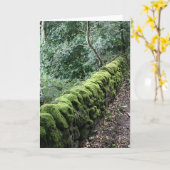 コケで覆われる石垣の壁 カード (黄色い花)