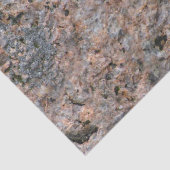 コケとの石の写真の地質学の質 薄葉紙 (詳細)