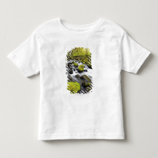 コケによって流れる水は流れの石を覆いました トドラーTシャツ